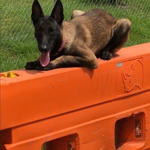 Meet your Posher, Casey